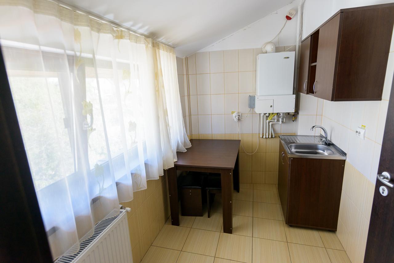 Pensiunea Domneasca Piteşti Exterior foto