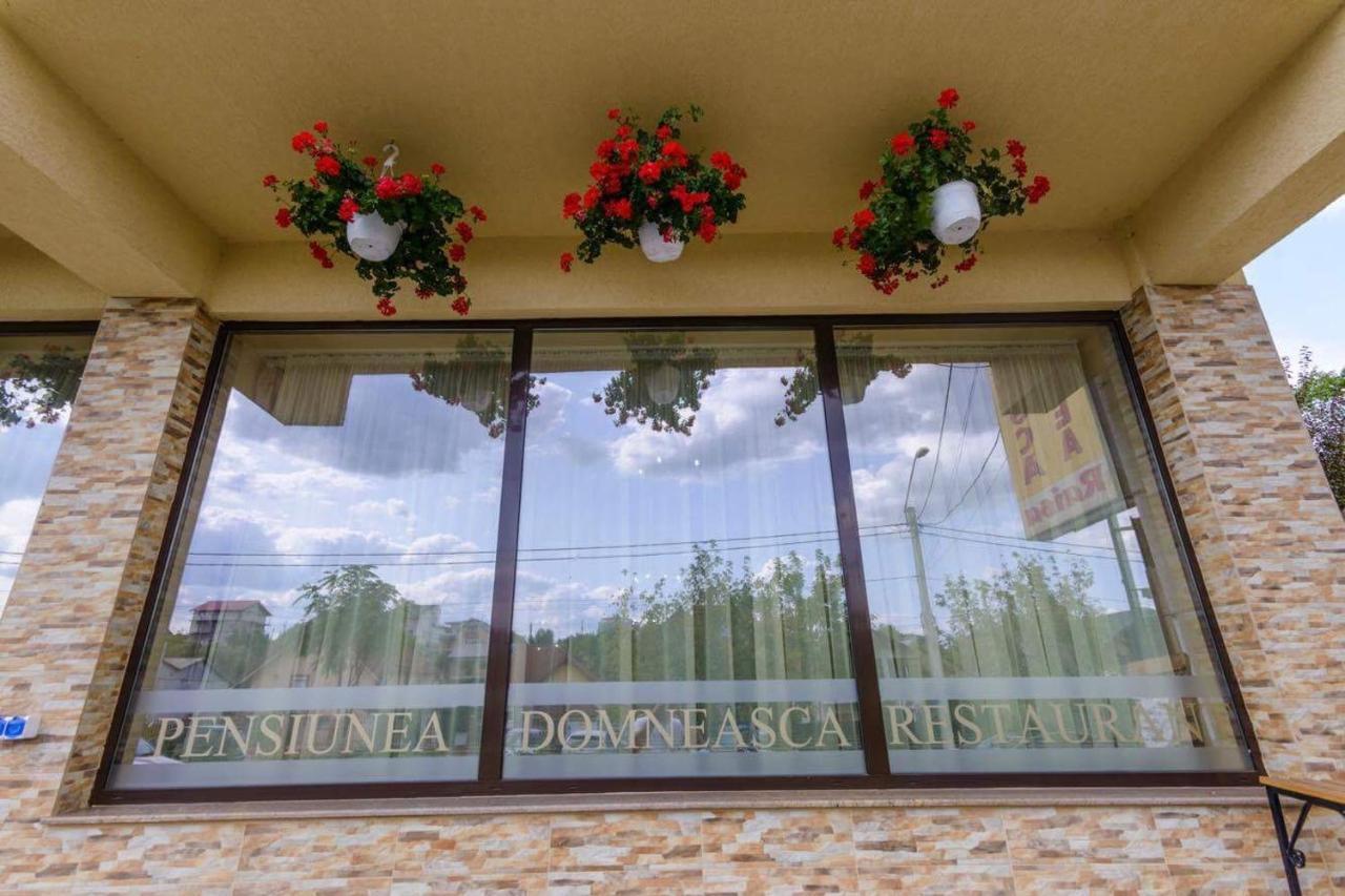 Pensiunea Domneasca Piteşti Exterior foto
